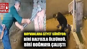 Hayvanlara eziyet sürüyor: Biri balyozla öldürdü, biri boğmaya çalıştı