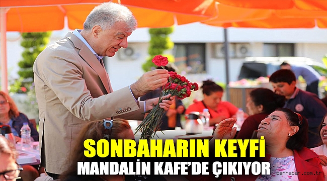SONBAHARIN KEYFİ MANDALİN KAFE’DE ÇIKIYOR