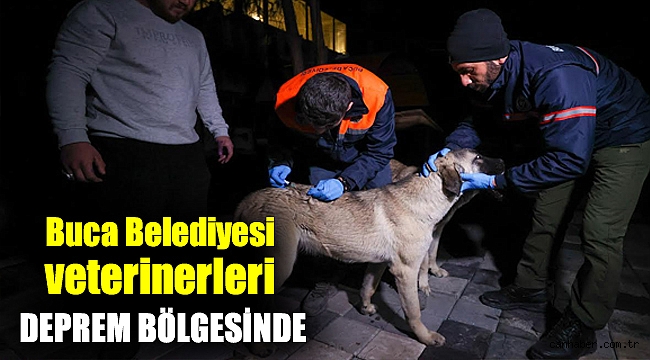 Buca Belediyesi veterinerleri deprem bölgesinde