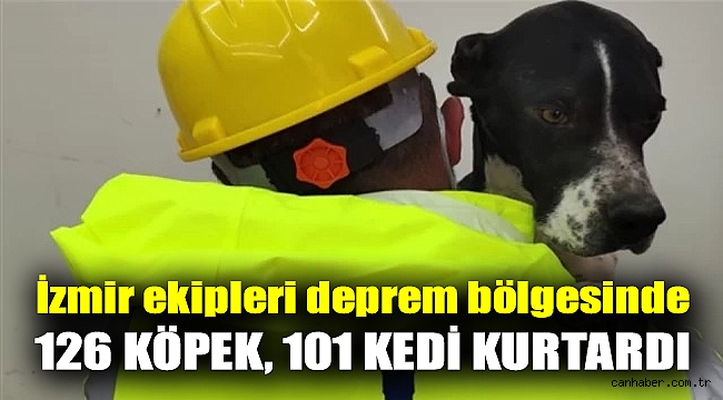 İzmir ekipleri deprem bölgesinde 126 köpek, 101 kedi kurtardı