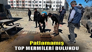 Çanakkale Savaşları'ndan kalma patlamamış top mermileri bulundu