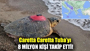 Caretta Caretta Tuba’yı 8 milyon kişi takip etti!