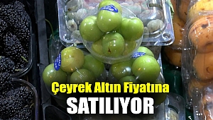 Çeyrek altın fiyatına satılıyor