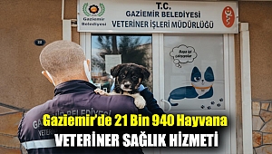 Gaziemir’de 21 bin 940 hayvana veteriner sağlık hizmeti