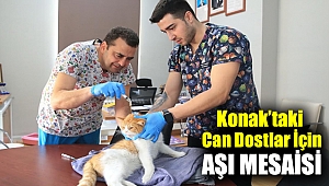 Konak’taki can dostlar için aşı mesaisi