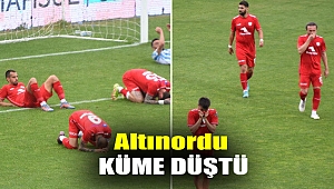 Altınordu küme düştü