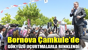 Bornova Çamkule’de gökyüzü uçurtmalarla renklendi