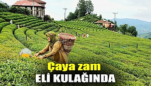Çaya zam eli kulağında