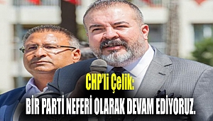 CHP'li Çelik: Bir parti neferi olarak devam ediyoruz