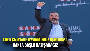 CHP'li Çelik'ten görevlendirilme açıklaması: Canla başla çalışacağız