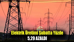 Elektrik üretimi şubatta yüzde 5,29 azaldı