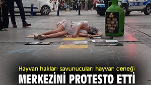 Hayvan hakları savunucuları hayvan deneği merkezini protesto etti
