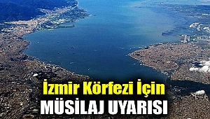 İzmir Körfezi için müsilaj uyarısı