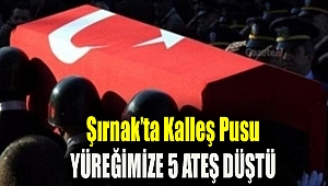 Şırnak’ta kalleş pusu... Yüreğimize 5 ateş düştü