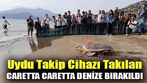 Uydu takip cihazı takılan caretta caretta denize bırakıldı