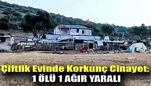 Çiftlik evinde korkunç cinayet: 1 ölü 1 ağır yaralı