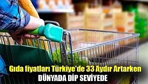 Gıda fiyatları Türkiye'de 33 aydır artarken dünyada dip seviyede