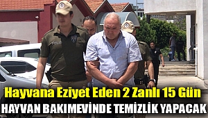 Hayvana eziyet eden 2 zanlı 15 gün hayvan bakımevinde temizlik yapacak