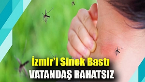 İzmir'i sinek bastı vatandaş rahatsız