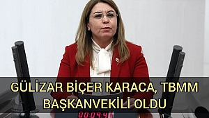 Karaca, TBMM Başkanvekili oldu