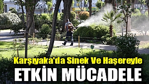 Karşıyaka'da sinek ve haşereyle etkin mücadele