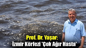 Prof. Dr. Yaşar: İzmir Körfezi 'çok ağır hasta'