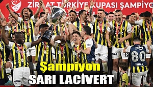 Şampiyon sarı lacivert