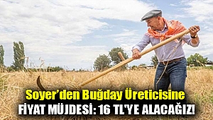 Soyer’den buğday üreticisine fiyat müjdesi: 16 TL'ye alacağız!