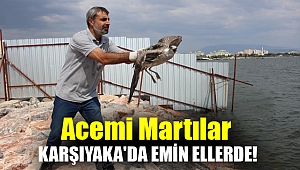 Acemi martılar Karşıyaka'da emin ellerde!