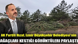 AK Partili Hızal, İzmir Büyükşehir Belediyesi'nin ağaçları kestiği görüntüleri paylaştı