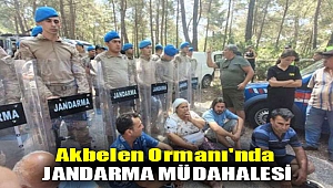 Akbelen Ormanı'nda jandarma müdahalesi