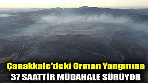 Çanakkale'deki orman yangınına 37 saattir müdahale sürüyor