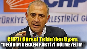 CHP'li Gürsel Tekin: