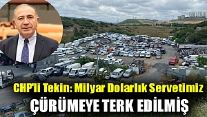 CHP'li Tekin: Milyar dolarlık servetimiz çürümeye terk edilmiş