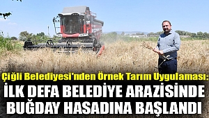 Çiğli Belediyesi'nden Örnek Tarım Uygulaması: İlk Defa Belediye Arazisinde Buğday Hasadına Başlandı