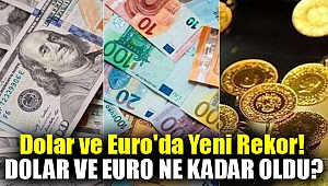 Dolar ve Euro'da yeni rekor! Dolar ve Euro ne kadar oldu? 18 Temmuz 2023 döviz fiyatları
