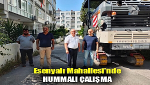 Esenyalı Mahallesi'nde hummalı çalışma