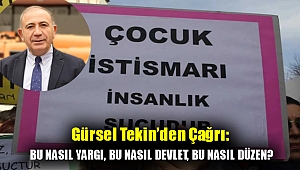 Gürsel Tekin'den Çağrı: Bu nasıl yargı, bu nasıl devlet, bu nasıl düzen?