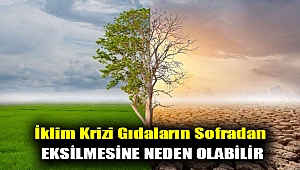 İklim krizi gıdaların sofradan eksilmesine neden olabilir