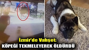İzmir'de vahşet: Köpeği tekmeleyerek öldürdü