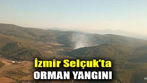 İzmir Selçuk'ta orman yangını