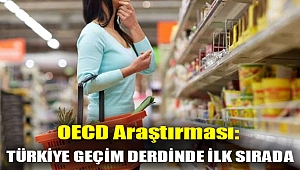 OECD araştırması: Türkiye geçim derdinde ilk sırada