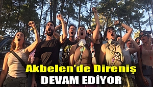 Sonuna kadar direnişe devam