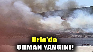Urla’da orman yangını!