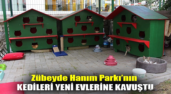 Zübeyde Hanım Parkı’nın kedileri yeni evlerine kavuştu
