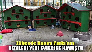 Zübeyde Hanım Parkı’nın kedileri yeni evlerine kavuştu