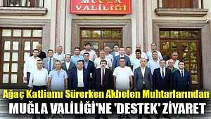 Ağaç katliamı sürerken Akbelen muhtarlarından Muğla Valiliği'ne 'destek' ziyareti: 'Provokatif eylemleri asla onaylamıyoruz'