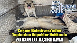 Çeşme Belediyesi'nden Toplatılan Köpekler Hakkında Zorunlu Açıklama