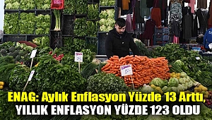 ENAG: Aylık enflasyon yüzde 13 arttı, yıllık enflasyon yüzde 123 oldu