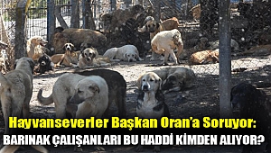 Hayvanseverler Başkan Oran'a Soruyor: Barınak Çalışanları Bu Haddi Kimden Alıyor?